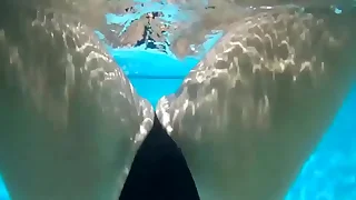 265 soloboy porn videos